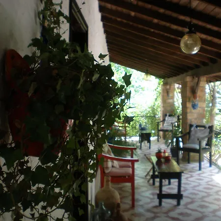 Bakkhos 3* Kusadası