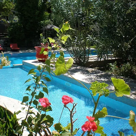 Pensionat Bakkhos Kusadası