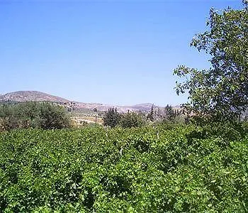 Bakkhos Pensión 3*