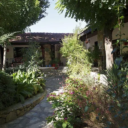 Bakkhos 3* Kusadasi