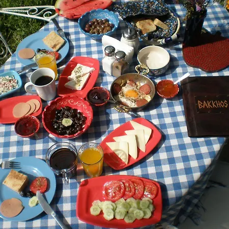 Guest house Bakkhos